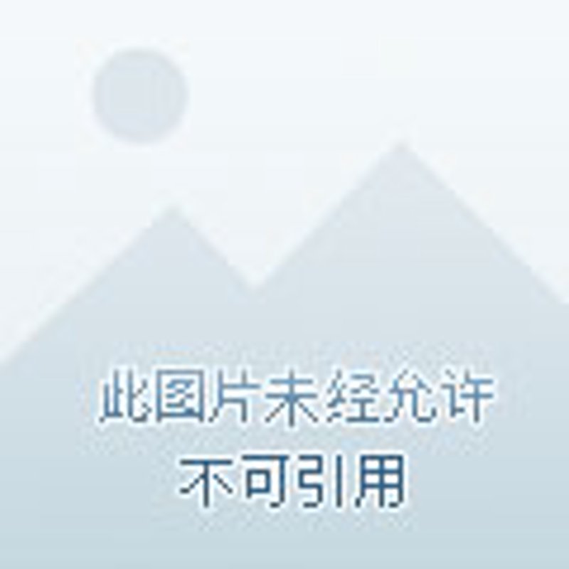 自驾租车趋势与前景分析